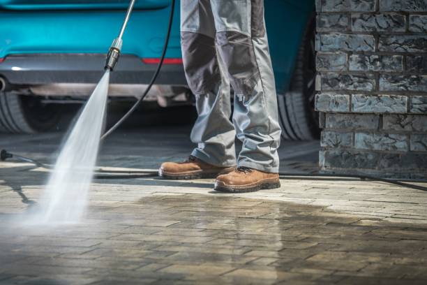 Best Rust Removal  in Lemoyne, PA